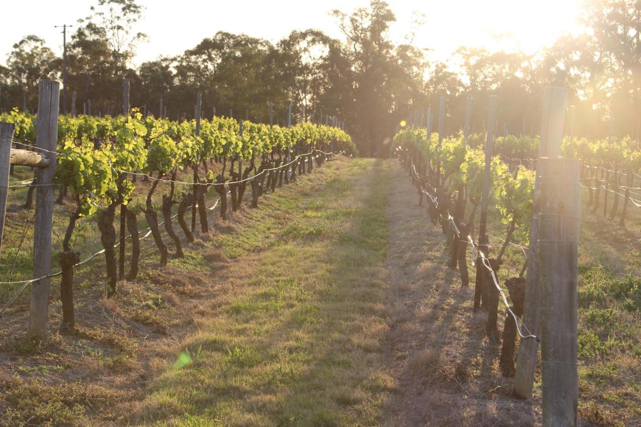 Blueberry Hill Vineyard Stay Rothbury Exterior foto