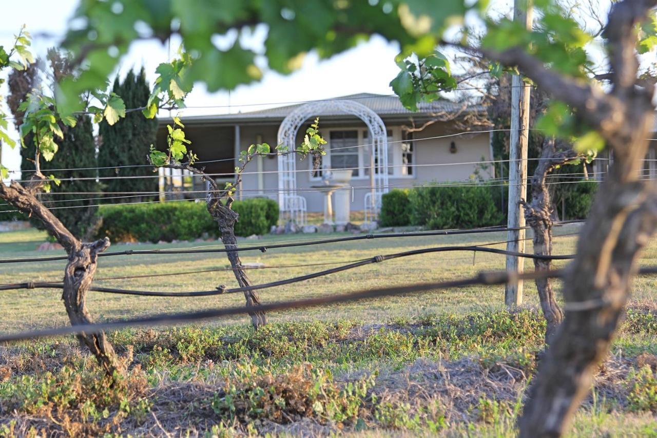 Blueberry Hill Vineyard Stay Rothbury Exterior foto