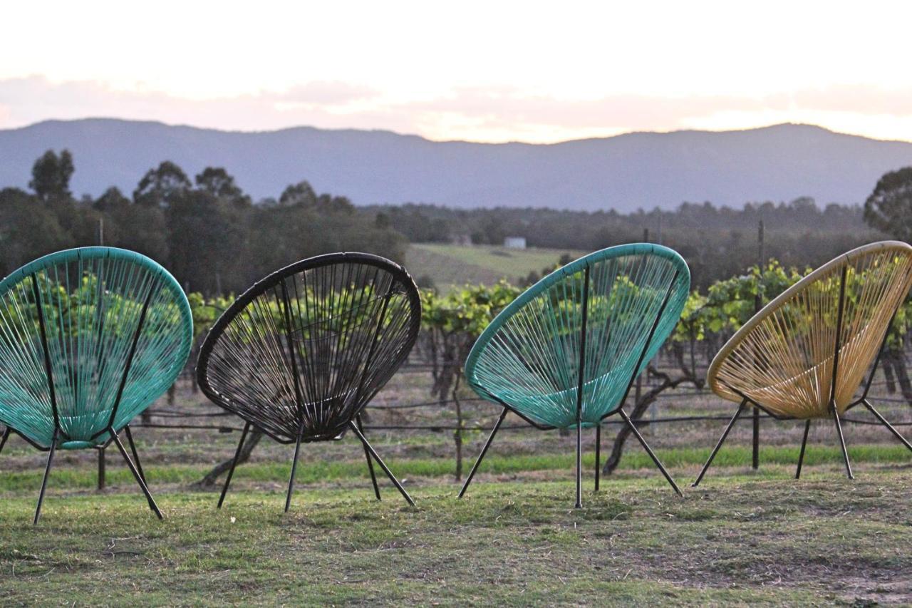 Blueberry Hill Vineyard Stay Rothbury Exterior foto